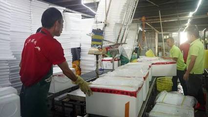 日配超70噸，九江魚興港以預(yù)制菜解鎖魚的百變吃法